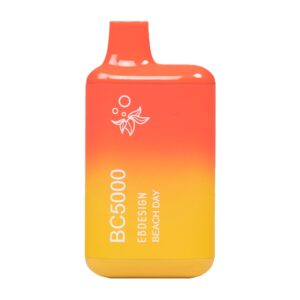 ELF BAR BC5000 Disposable 5000 puffar Beach Day 13 ml