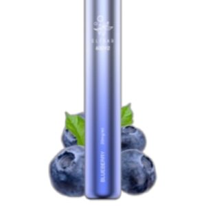 ELF BAR 600V2 Disposable 600 puffar Blueberry 550 mAh